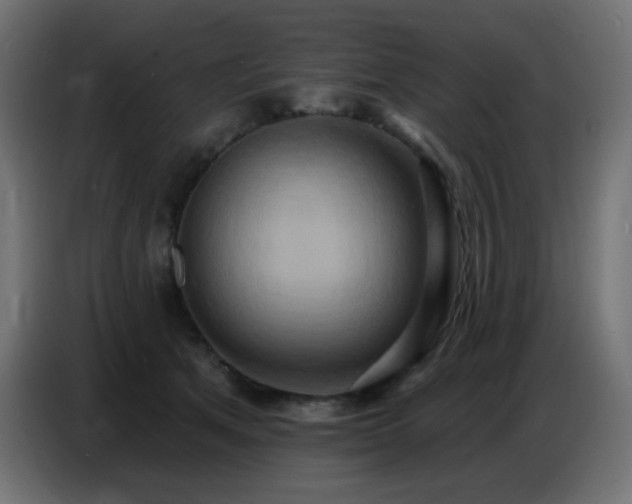 X0000086750513200704131154