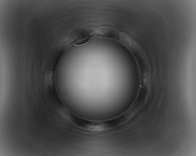 X0000086750514200704131154