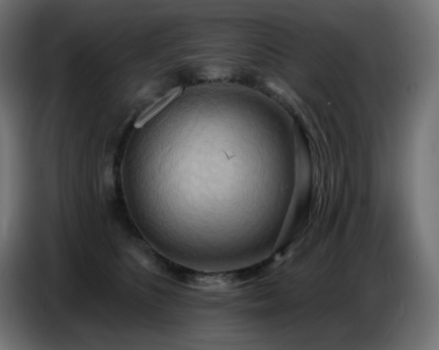 X0000086750516200704131154