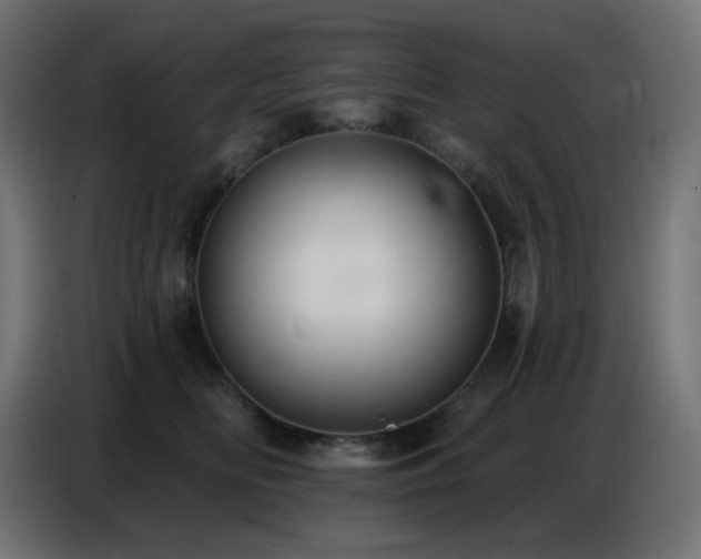 X0000086750518200704131154