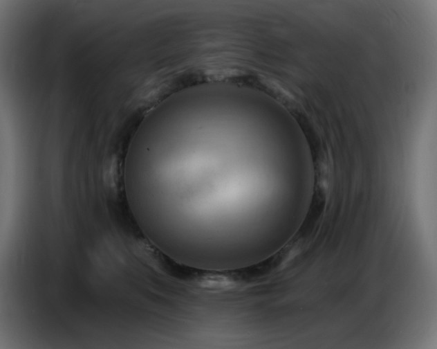 X0000086750519200704131154