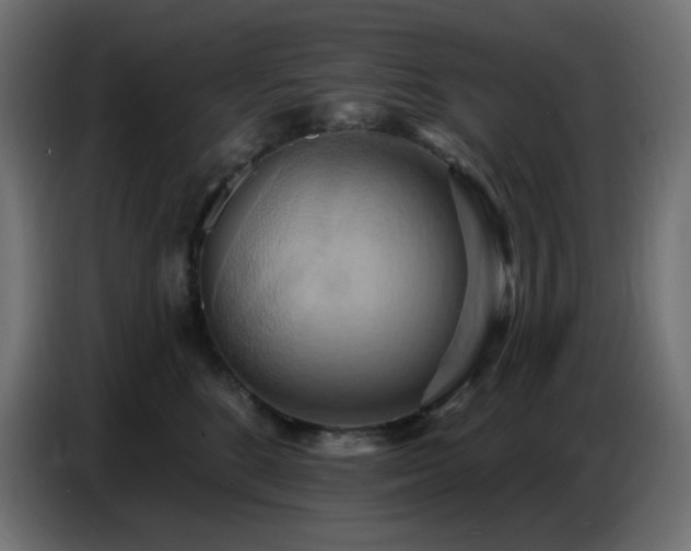 X0000086750520200704131154