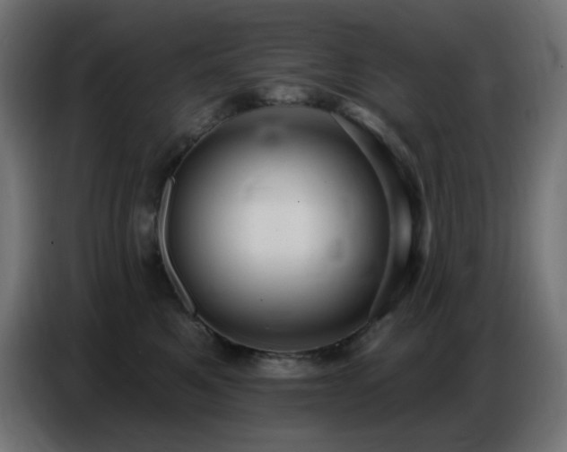 X0000086750521200704131154