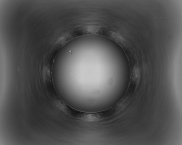 X0000086750522200704131154