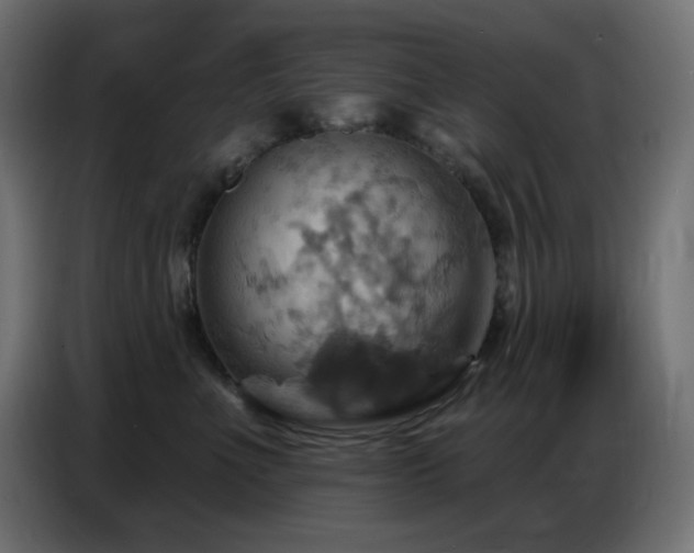 X0000086750523200704131154