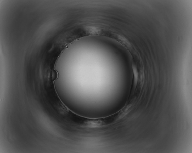 X0000086750525200704131154