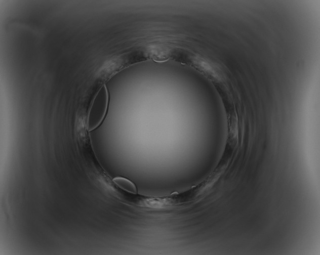 X0000086750526200704131154