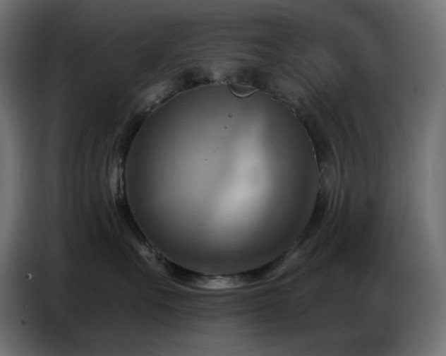 X0000086750527200704131154