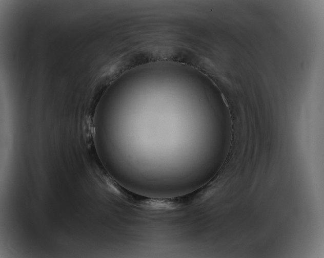 X0000086750528200704131154
