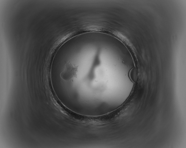 X0000086750529200704131153