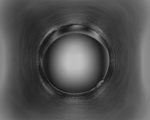 X0000086750530200704131153