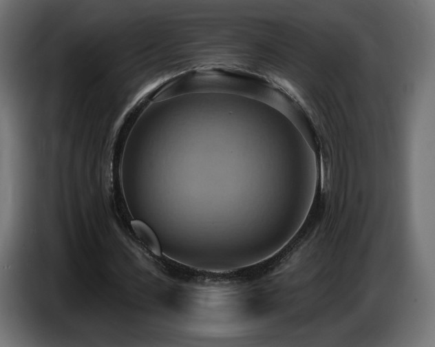 X0000086750531200704131153