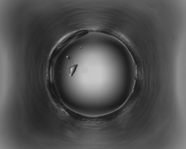 X0000086750532200704131153