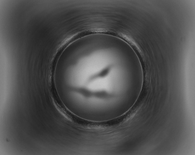 X0000086750533200704131153