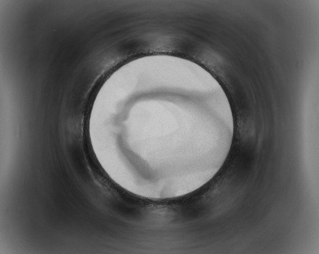 X0000086750534200704131153