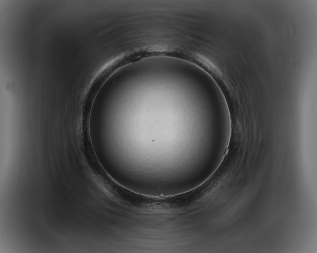 X0000086750535200704131153