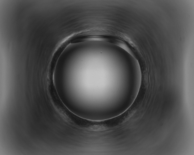 X0000086750536200704131153