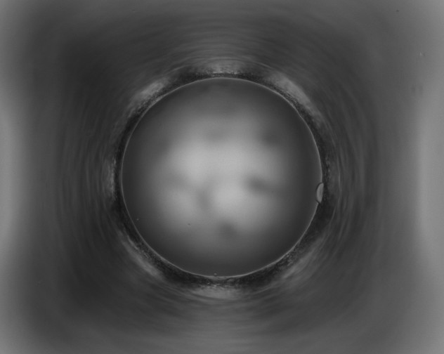 X0000086750537200704131153