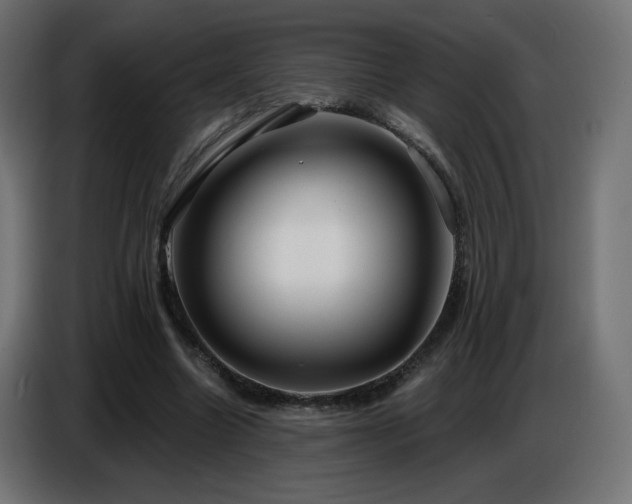 X0000086750538200704131153