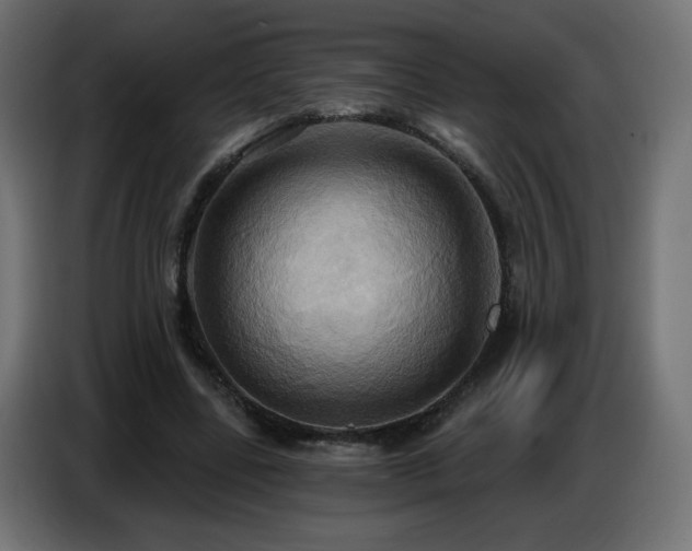 X0000086750539200704131153