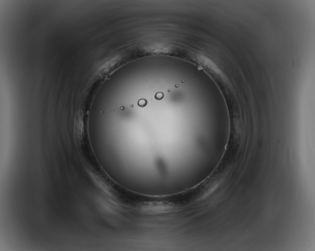 X0000086750541200704131153