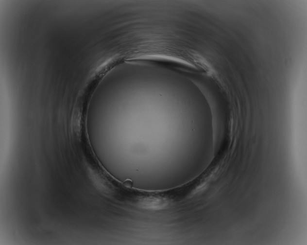 X0000086750542200704131153