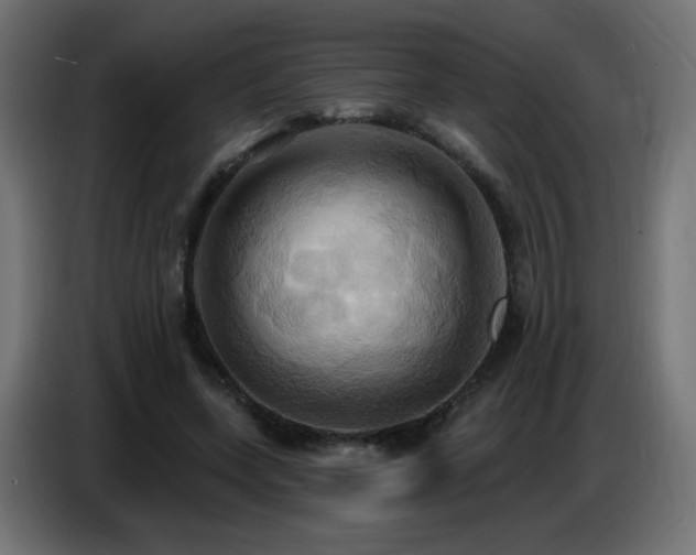X0000086750543200704131153