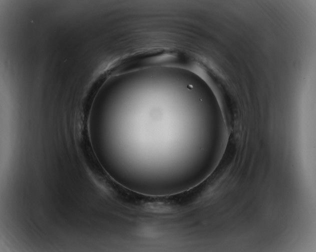 X0000086750544200704131153
