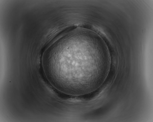X0000086750545200704131153