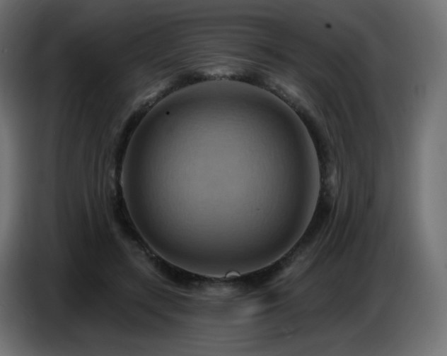 X0000086750547200704131153