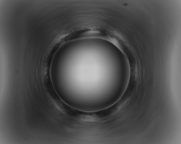 X0000086750548200704131153