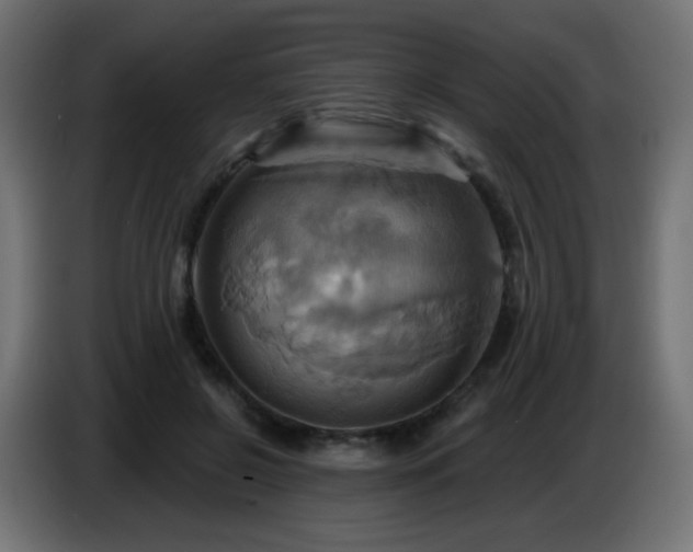 X0000086750550200704131153