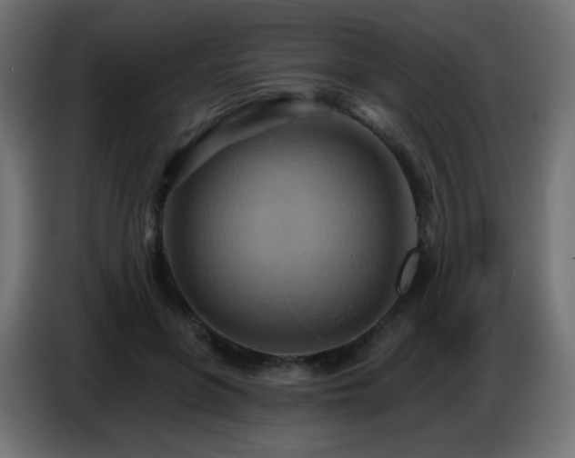X0000086750551200704131153