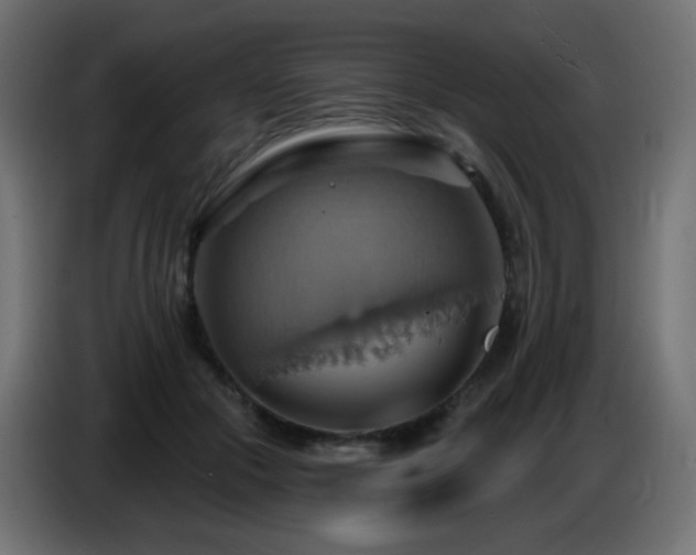 X0000086750553200704131153