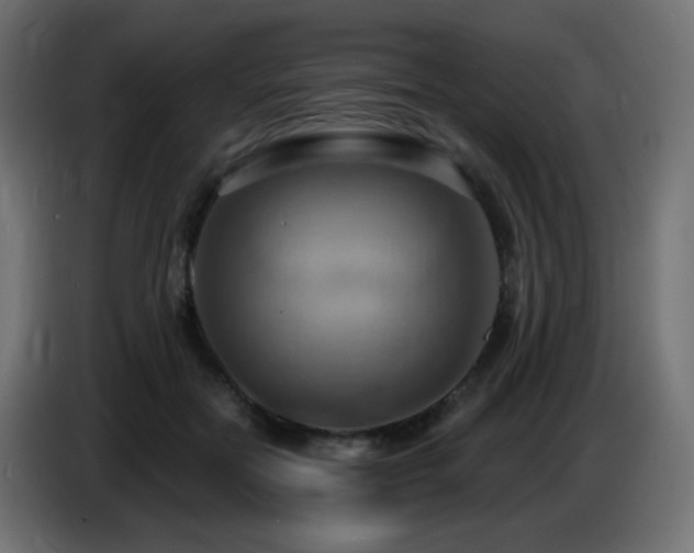 X0000086750554200704131153