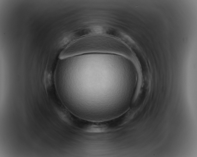 X0000086750556200704131153