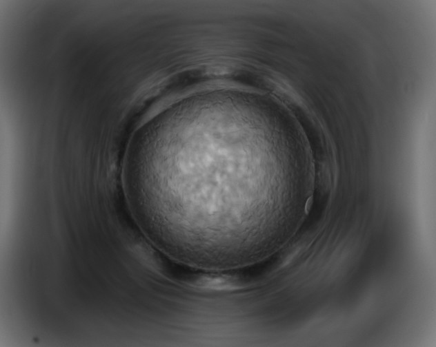 X0000086750557200704131153