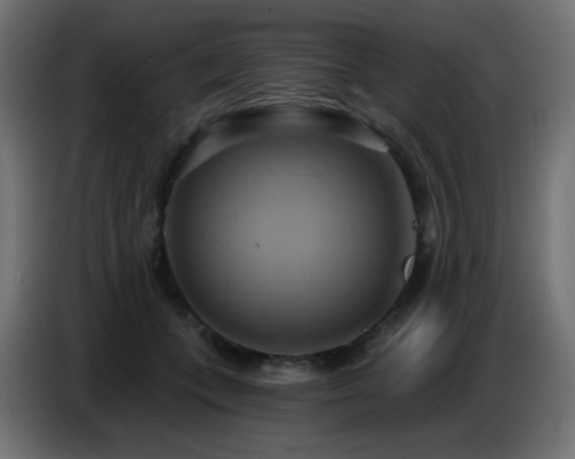 X0000086750559200704131153