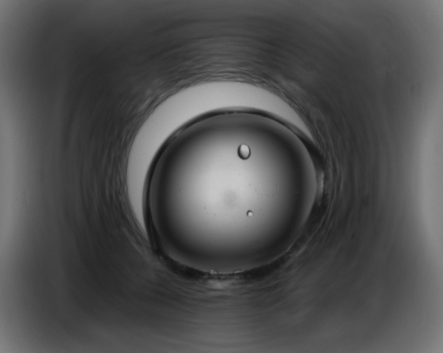 X0000086750560200704131153