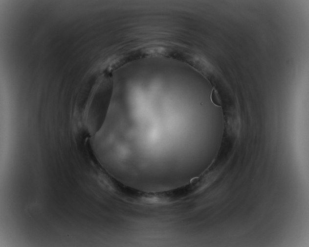 X0000086750561200704131153