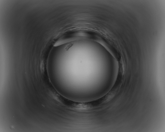 X0000086750562200704131153