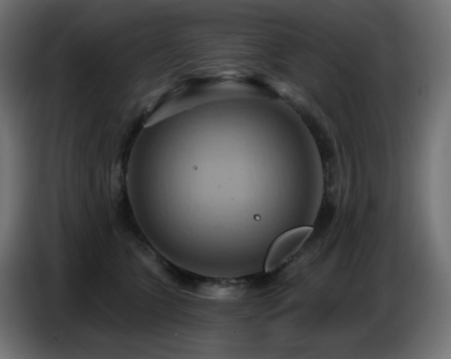 X0000086750563200704131153