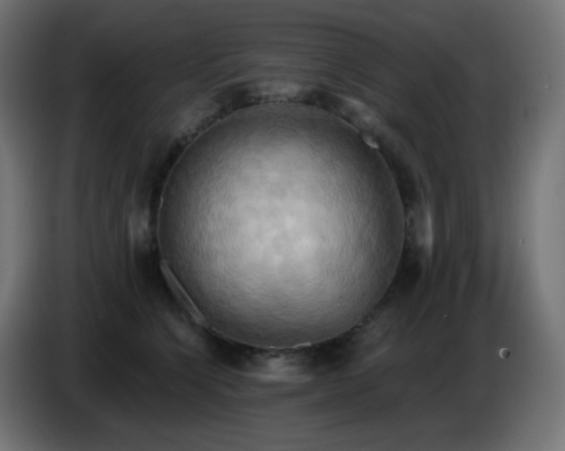 X0000086750564200704131153