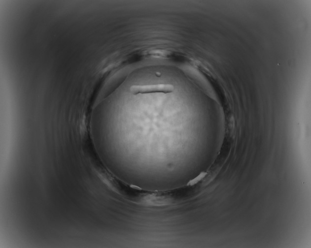 X0000086750568200704131153