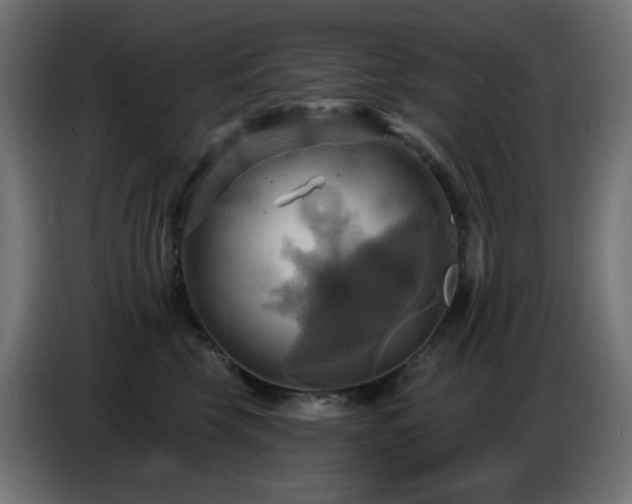 X0000086750569200704131154