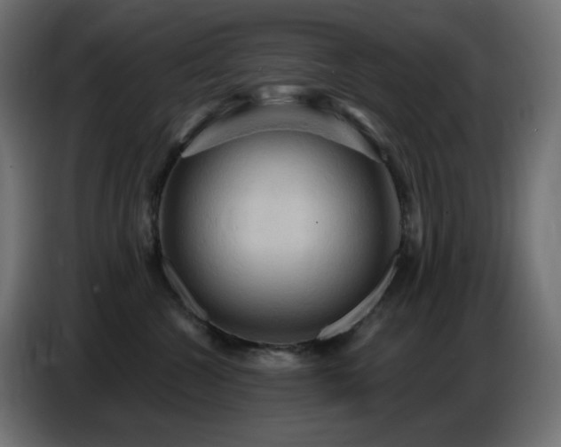 X0000086750572200704131154