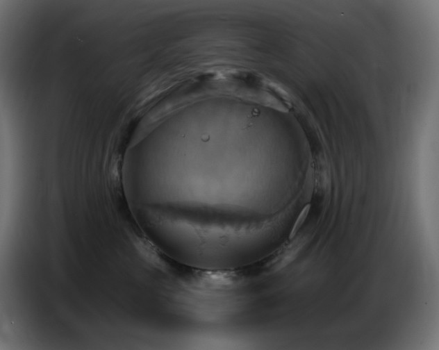 X0000086750573200704131154