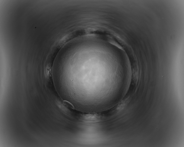 X0000086750574200704131154