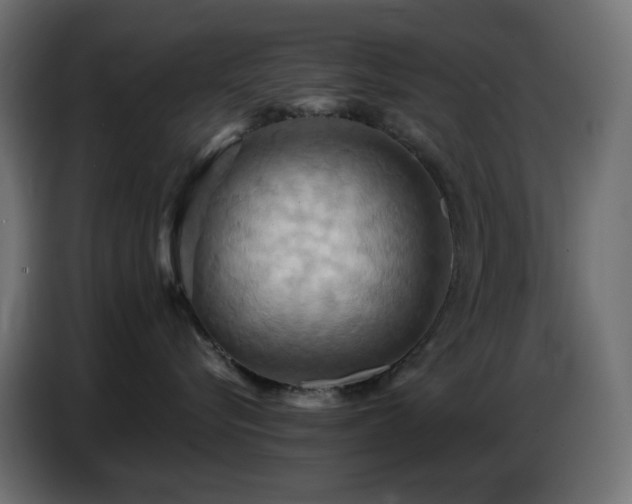 X0000086750576200704131154