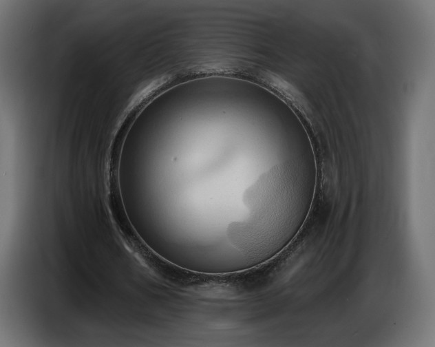 X0000086750578200704131153